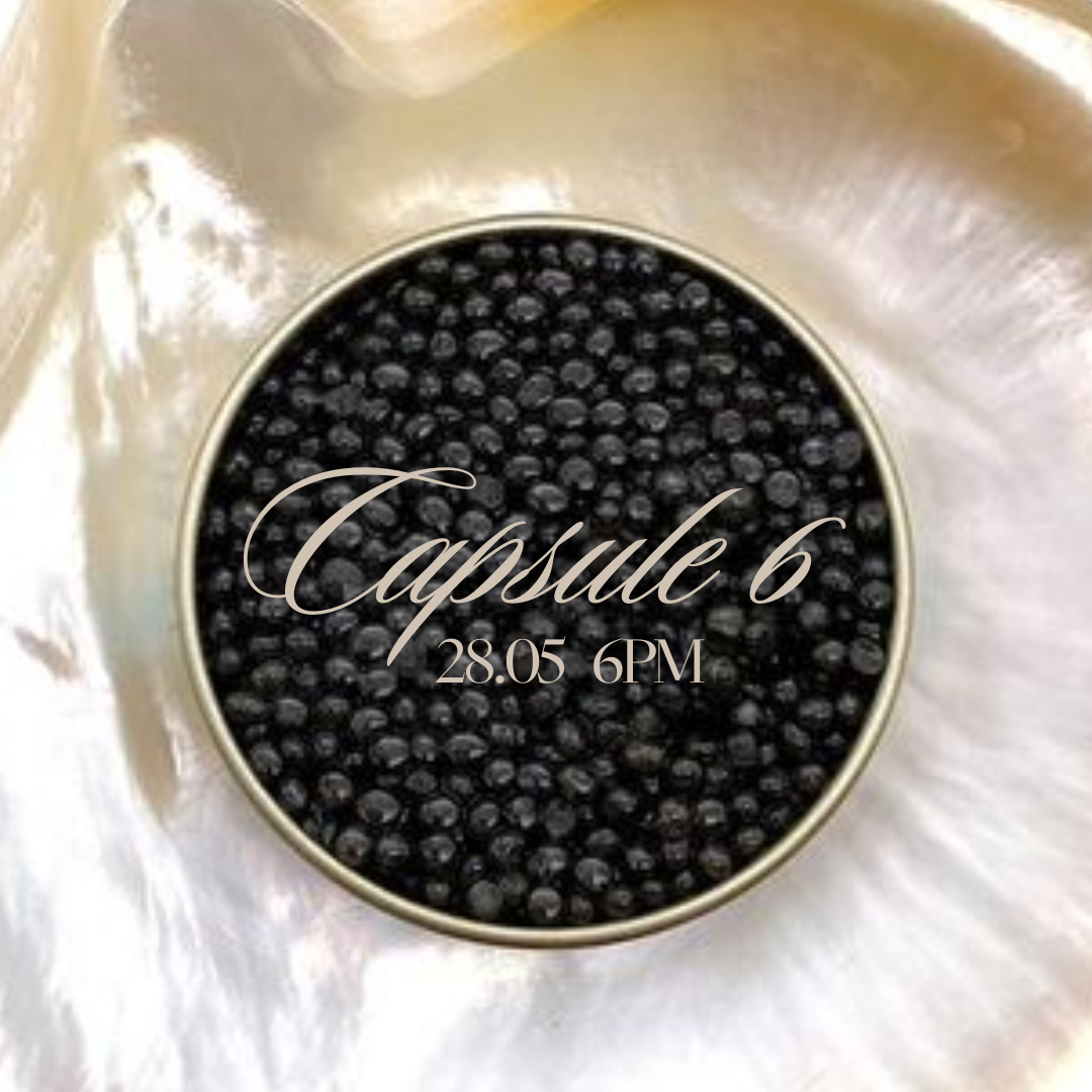 CAPSULE 6